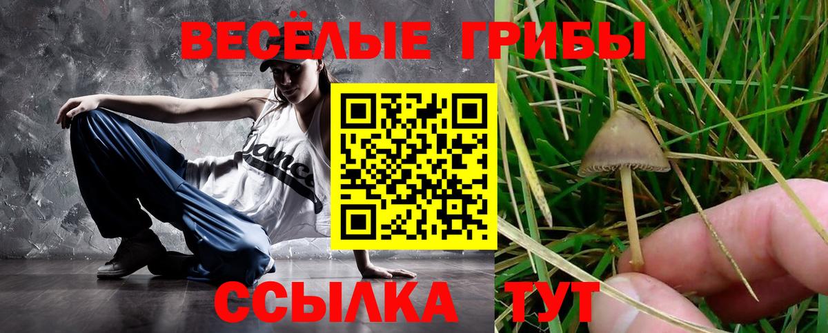 Псилоцибиновые грибы ЛСД Михайловка