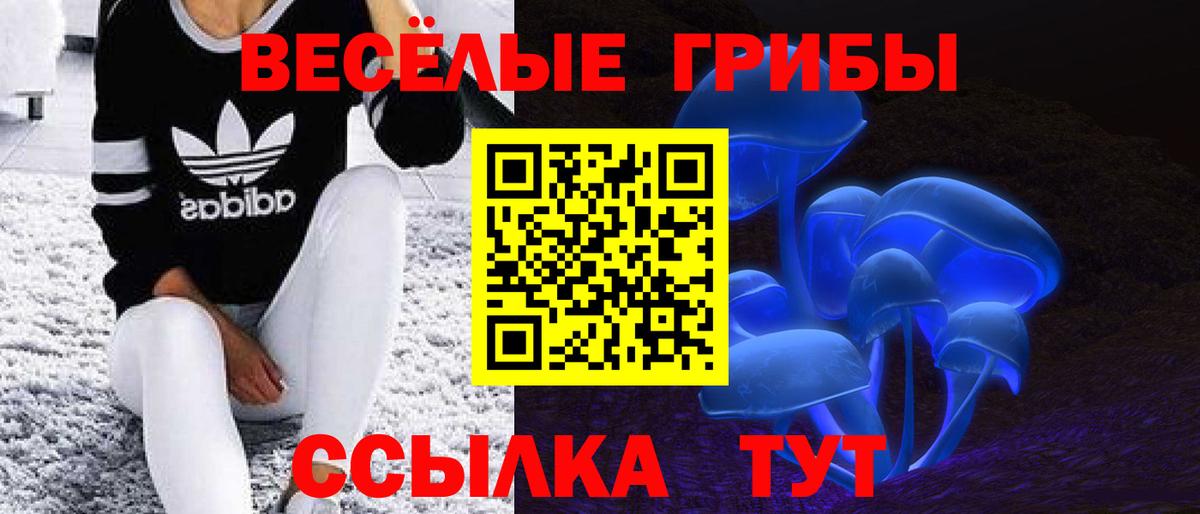 Галлюциногенные грибы ЛСД  Псилоцибиновые грибы Psilocybine cubensis  Вход с VPN  Михайловка 